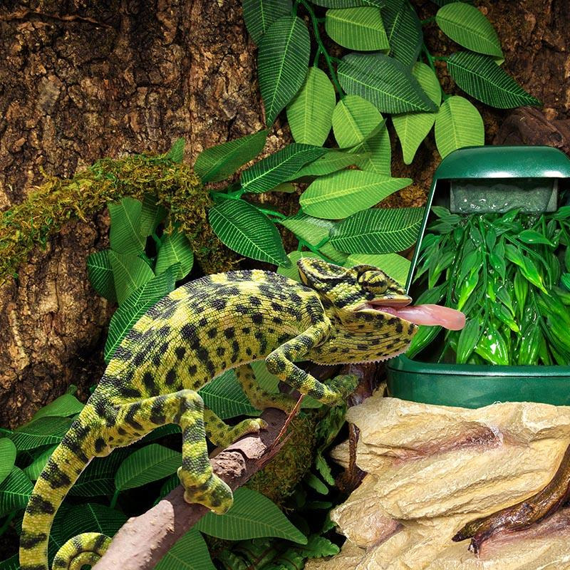 Fontaine-Repti-Zoo-DF01-2.jpg