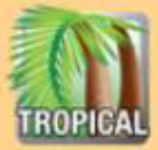 Ambiance tropicale