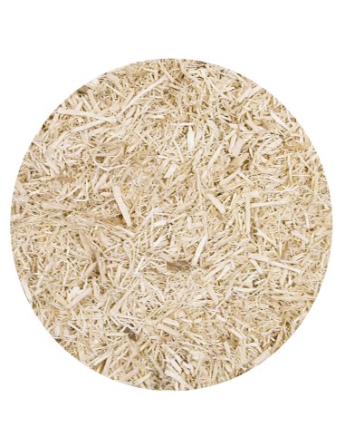 Litière pour serpent aspen