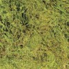 Litière Terrarium Moss 2,46L de ZooMed pour terrarium tropical