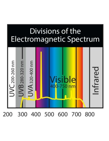 Lampe 3 en 1 Paludarium Compact Fluorescent Zoo Med