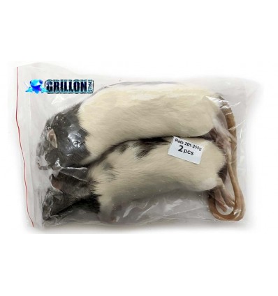Rats congelés XL 201 à 250g en sac de 2