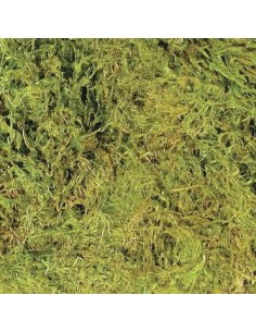 Litière Terrarium Moss 1,3L de ZooMed pour terrarium tropical 2