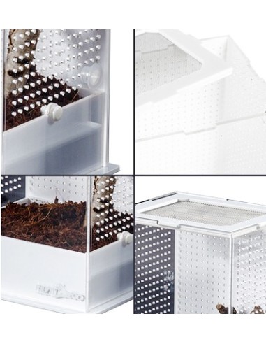 Boîte à insectes transparente Repti Zoo