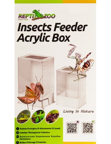 Boîte à insectes transparente Repti Zoo