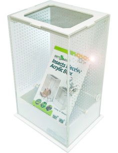 Boîte à insectes transparente Repti Zoo