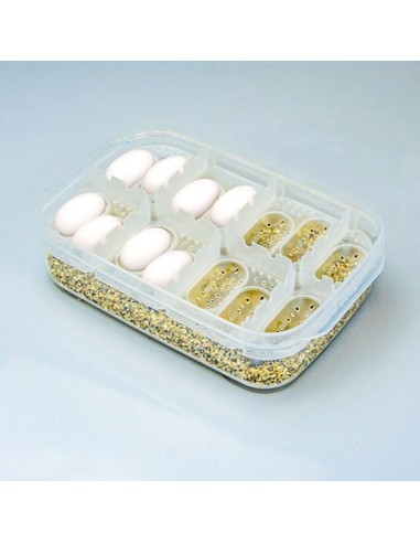 Boîte d'incubation œufs Hobby