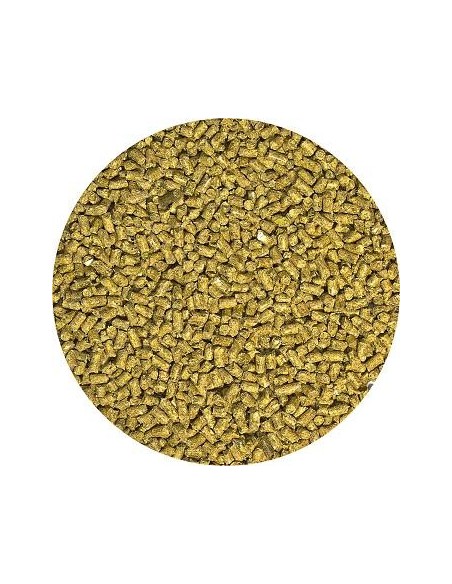 Alimentation naturelle pour Pogona Adulte 560 grammes-Natural Bearded Dragon Food Adult Formula