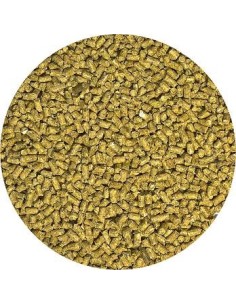 Granulés naturels pour pogona adulte 283g Zoo Med 2