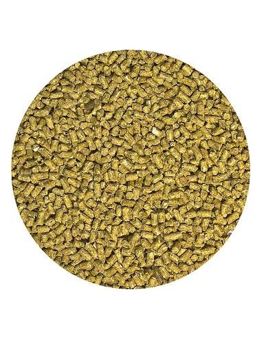 Granulés naturels pour pogona adulte 283g Zoo Med