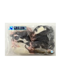 Rats congelés Taille S 26 à 50g en sac de 10