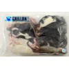 Rats congelés Taille S 26 à 50g en sac de 10