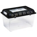 Terrarium de transport XL 32,5 x 22 x21 cm de Repti Zoo - indisponible