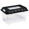 Terrarium de transport XL 32,5 x 22 x21 cm de Repti Zoo