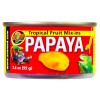 Papayes fraîches en conserve 95g pour reptiles - Zoo Med