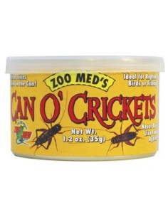Conserve grillons 35 grammes Can O’ Crickets