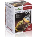 Ampoule Super Sun UVA et UVB 100w pour reptile Repti Zoo