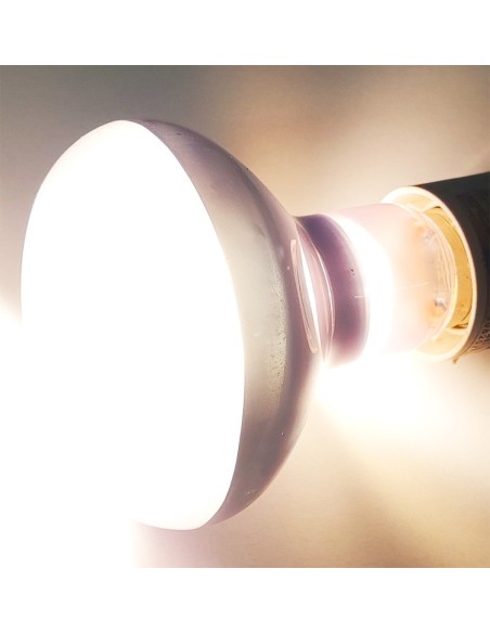 Lampe chauffante 60w Beam Spot Lamp de Repti Zoo, pour terrarium