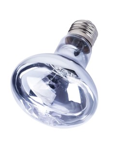 Ampoule Neodymium 100w lumière du jour de Repti Zoo pour terrarium 2