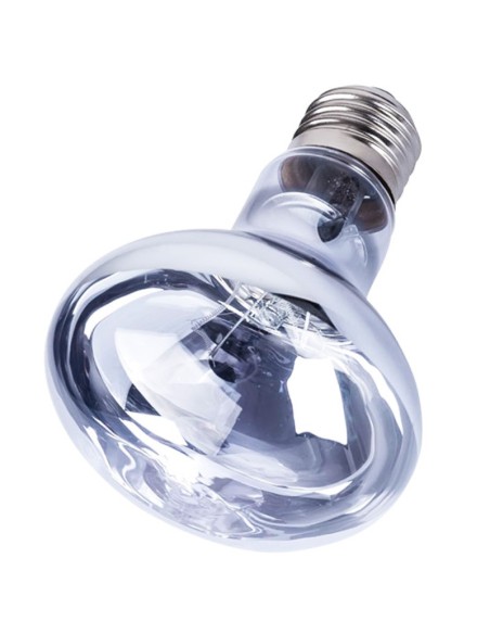 Ampoule Neodymium 100w lumière du jour de Repti Zoo pour terrarium