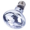 Ampoule Neodymium 100w lumière du jour de Repti Zoo pour terrarium