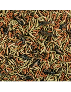 Aliment pour pogona adulte TROPICAL Soft Line Reptiles Carnivore 1L - indisponible 2