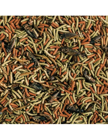 Aliment pour pogona adulte TROPICAL Soft Line Reptiles Carnivore 1L - indisponible