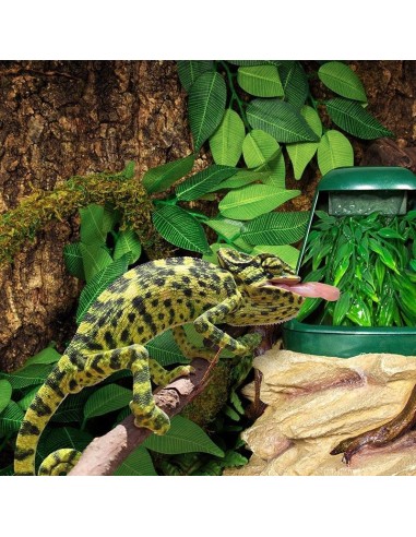 Fontaine pour boire de Repti Zoo