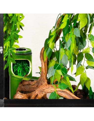 Fontaine bambou 2 en 1 fontaine et gamelle de Repti Zoo