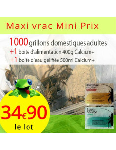Pack 1000 grillons domestiques adultes alimentation calcium 400g et 500ml