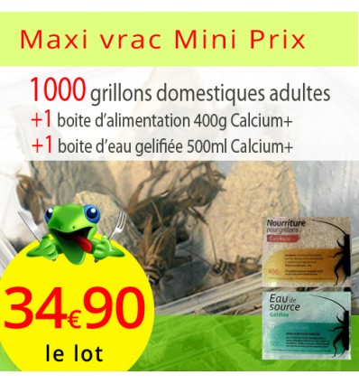 Pack 1000 grillons domestiques adultes alimentation calcium 400g et 500ml