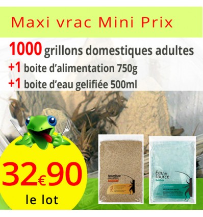 Pack 1000 grillons domestiques adultes alimentation 750g et 500ml