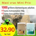 Grillons domestiques adultes sac de 1000 avec alimentation 750g et gel 500ml