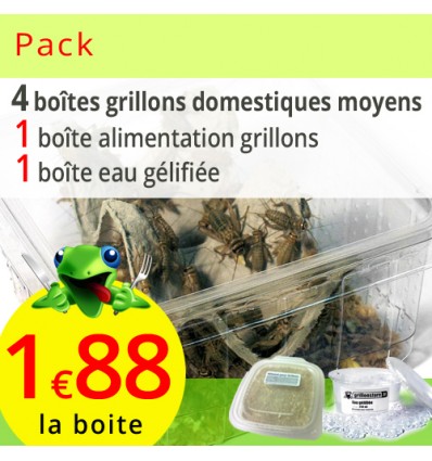 Pack grillons domestiques moyens 4 boites (environ 240 grillons)
