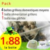Grillons domestiques moyens 4 boites avec alimentation et gel