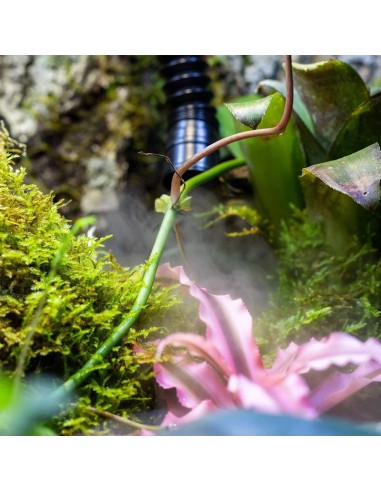 Humidificateur numérique pour reptiles de Repti Zoo