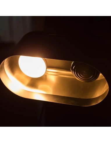 Plafonnier Repti Zoo pour terrarium désert Dual Dome pour ampoules