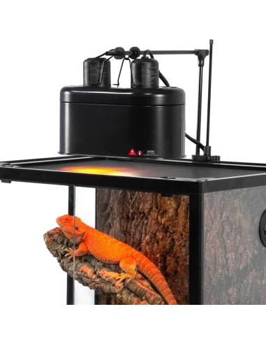 Plafonnier Repti Zoo pour terrarium désert Dual Dome pour ampoules