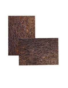 Fond écorce naturel 45cm x 30cm de Repti Zoo pour terrarium 2