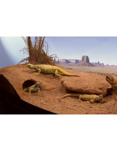 Substrat Excavator 9Kg