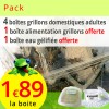 Grillons domestiques adultes 4 boites, alimentation et eau gélifiée