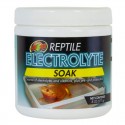 Prébiotique et probiotiques pour reptiles Electrolyte Soak de Zoo Med