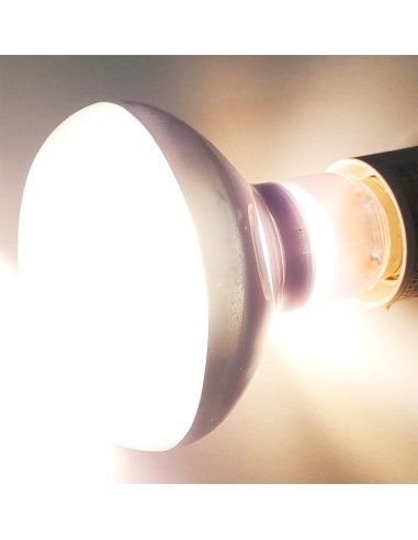 Lampe chauffante 40w Beam Spot Lamp de Repti Zoo, pour terrarium