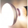 Lampe chauffante 40w Beam Spot Lamp de Repti Zoo, pour terrarium