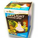Ampoule Neodymium 100w lumière du jour de Repti Zoo pour terrarium