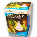 Ampoule lumière du jour DayLight 100W de Repti Zoo pour terrarium