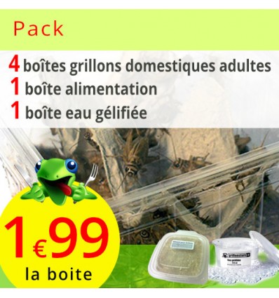 Pack Grillons domestiques adultes 4 boites