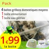 Grillons domestiques moyens 4 boites avec alimentation et gel