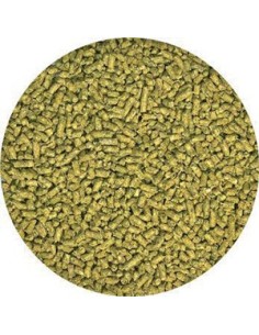 Alimentation naturelle pour Jeune Pogona 560 grammes Natural juvenile bearded dragon food 2