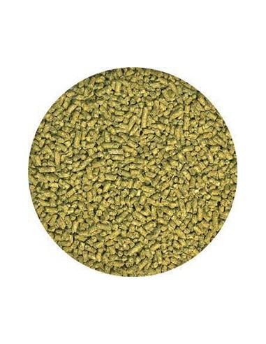 Alimentation naturelle pour Jeune Pogona 560 grammes Natural juvenile bearded dragon food